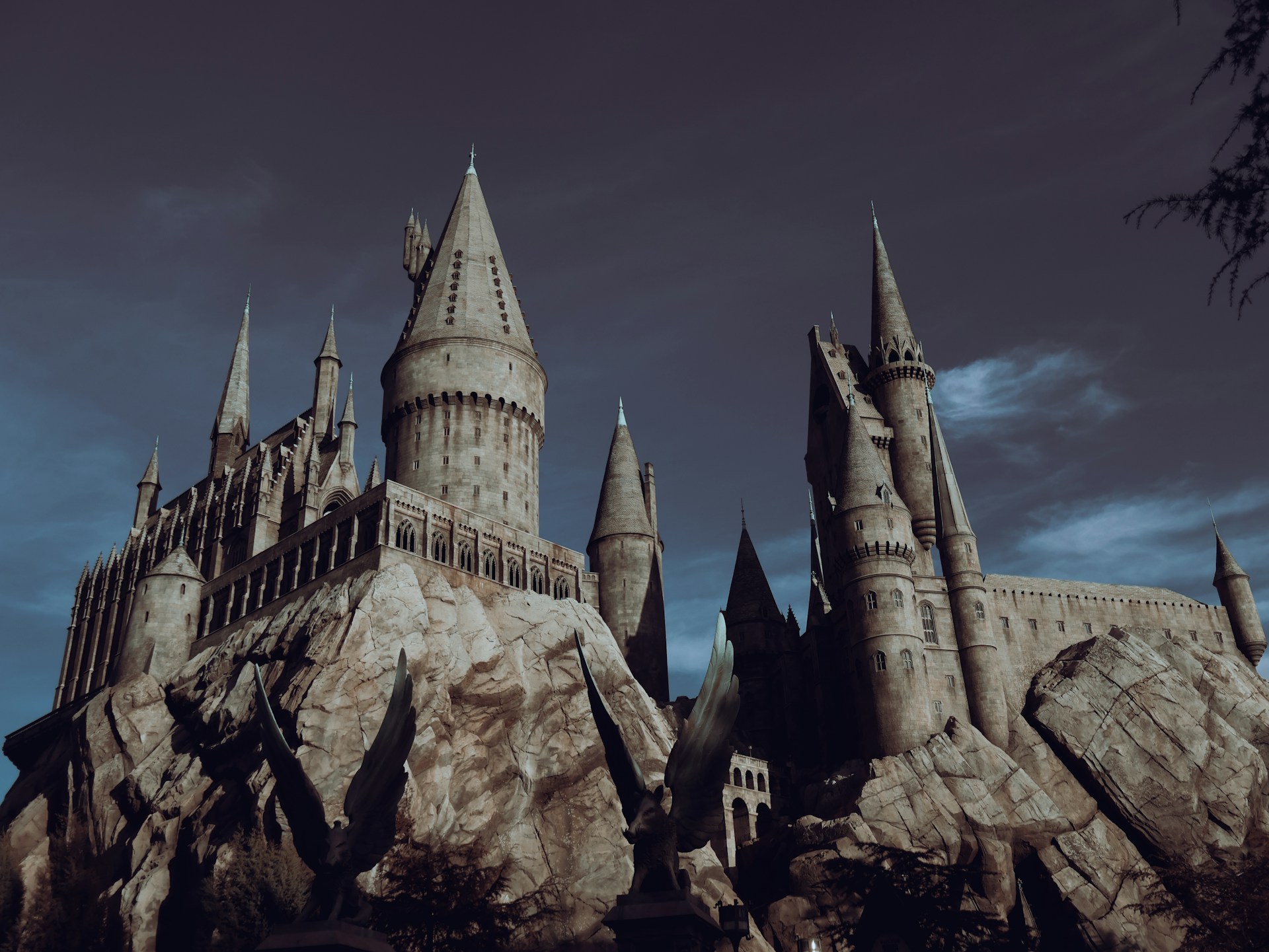 Sådan ser du Harry Potter-filmene i den rigtige rækkefølge - Foto: Unsplash