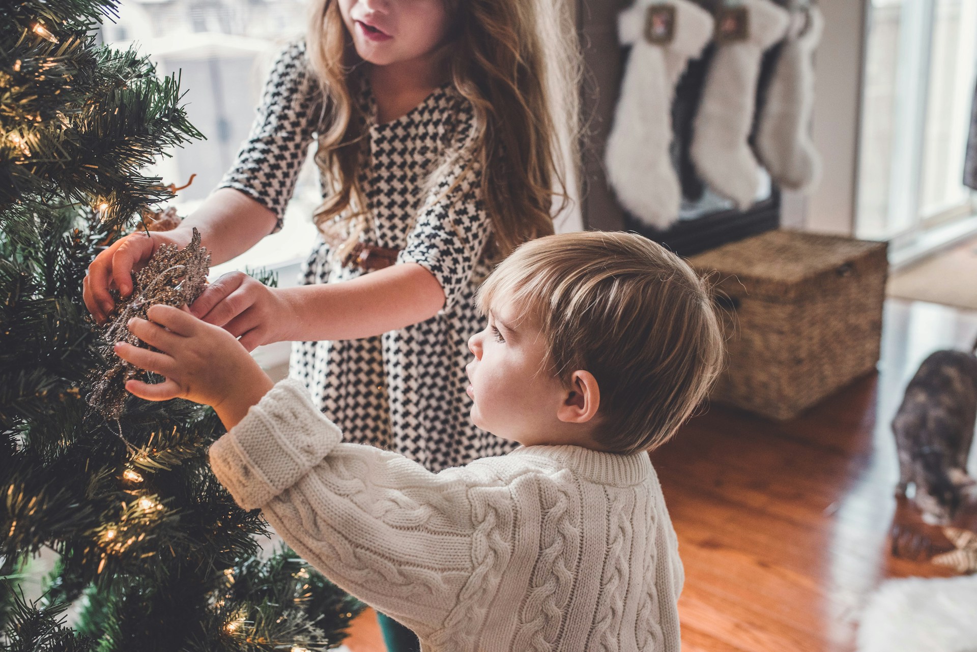 Lydbøger og e-bøger til hele familien i julen - Foto: Unsplash