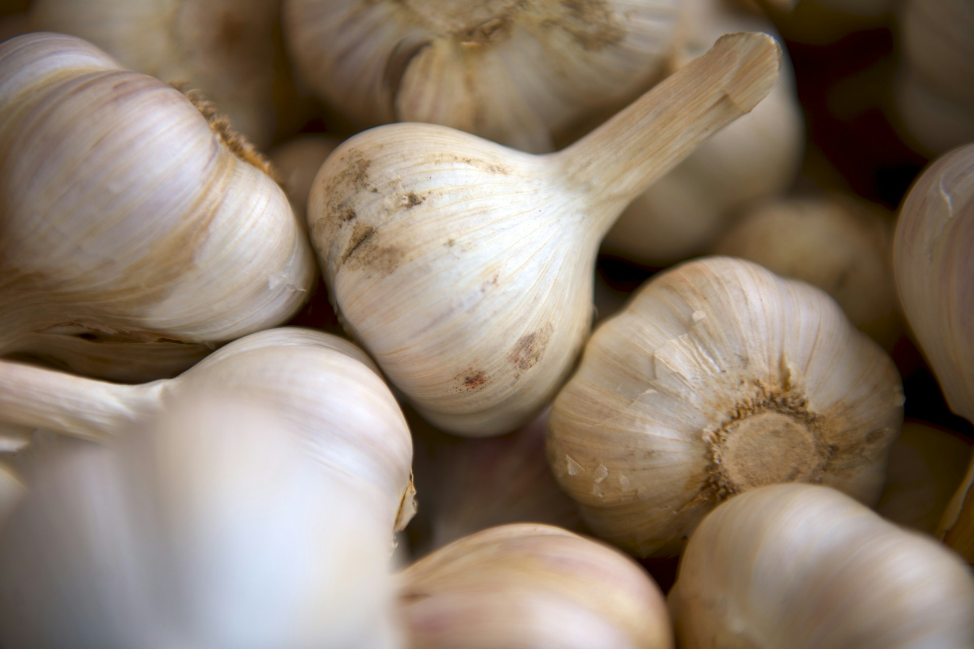 Hvidløgspresser Test - Foto: Unsplash