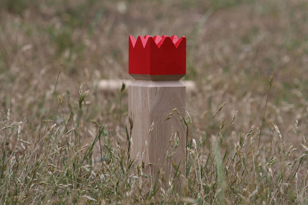 Kongespil Test - Foto: Pixabay