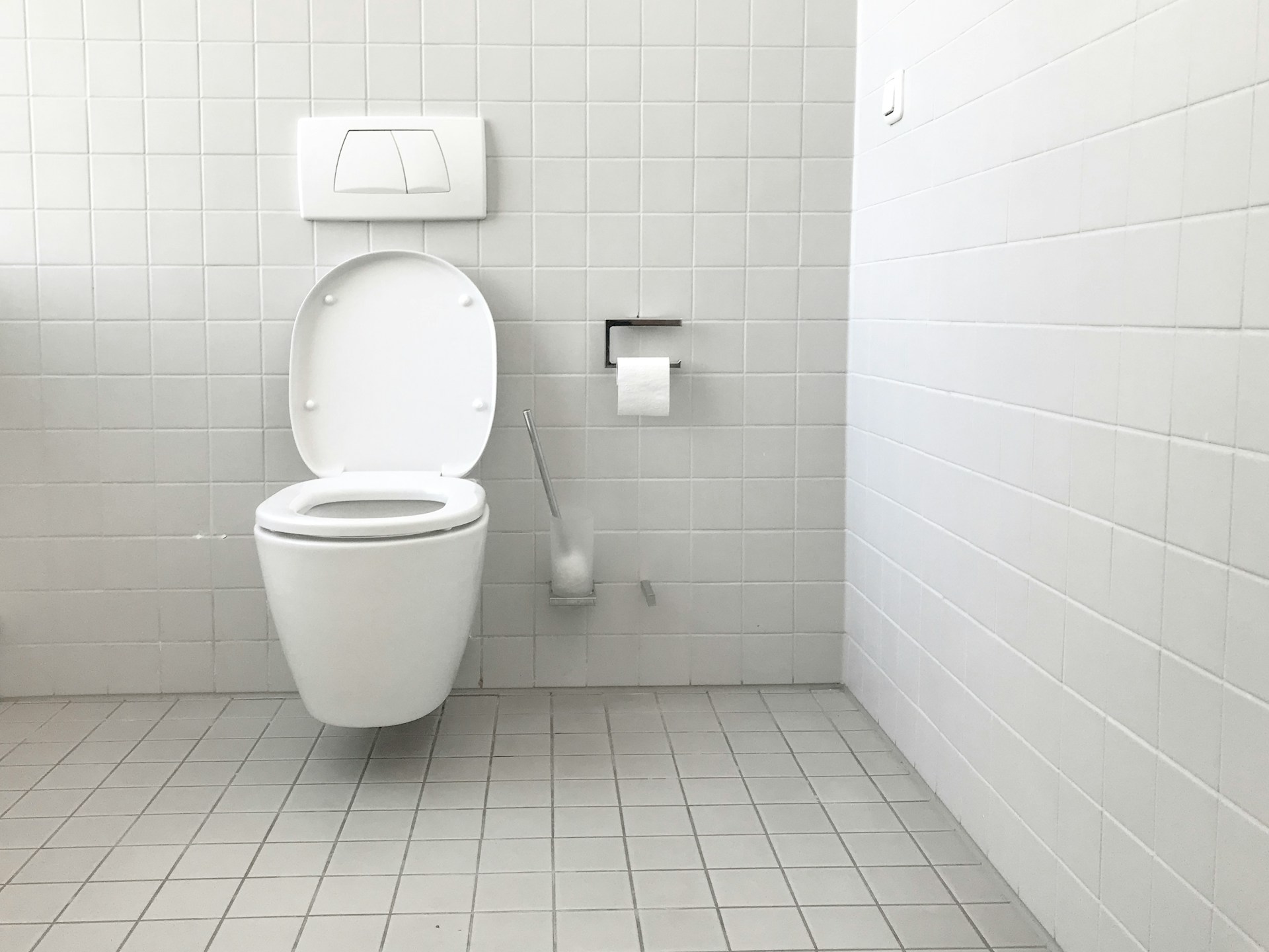 Væghængt Toilet Test - Foto: Unsplash