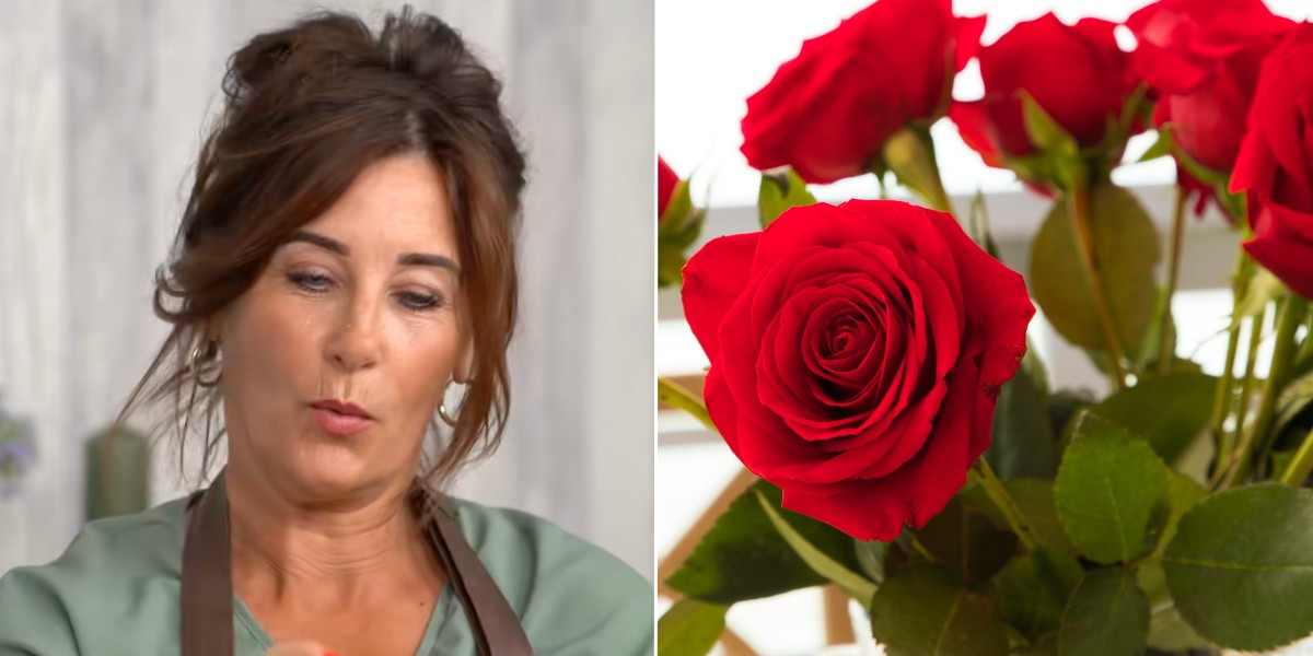 Foto: TikTok / Unsplash