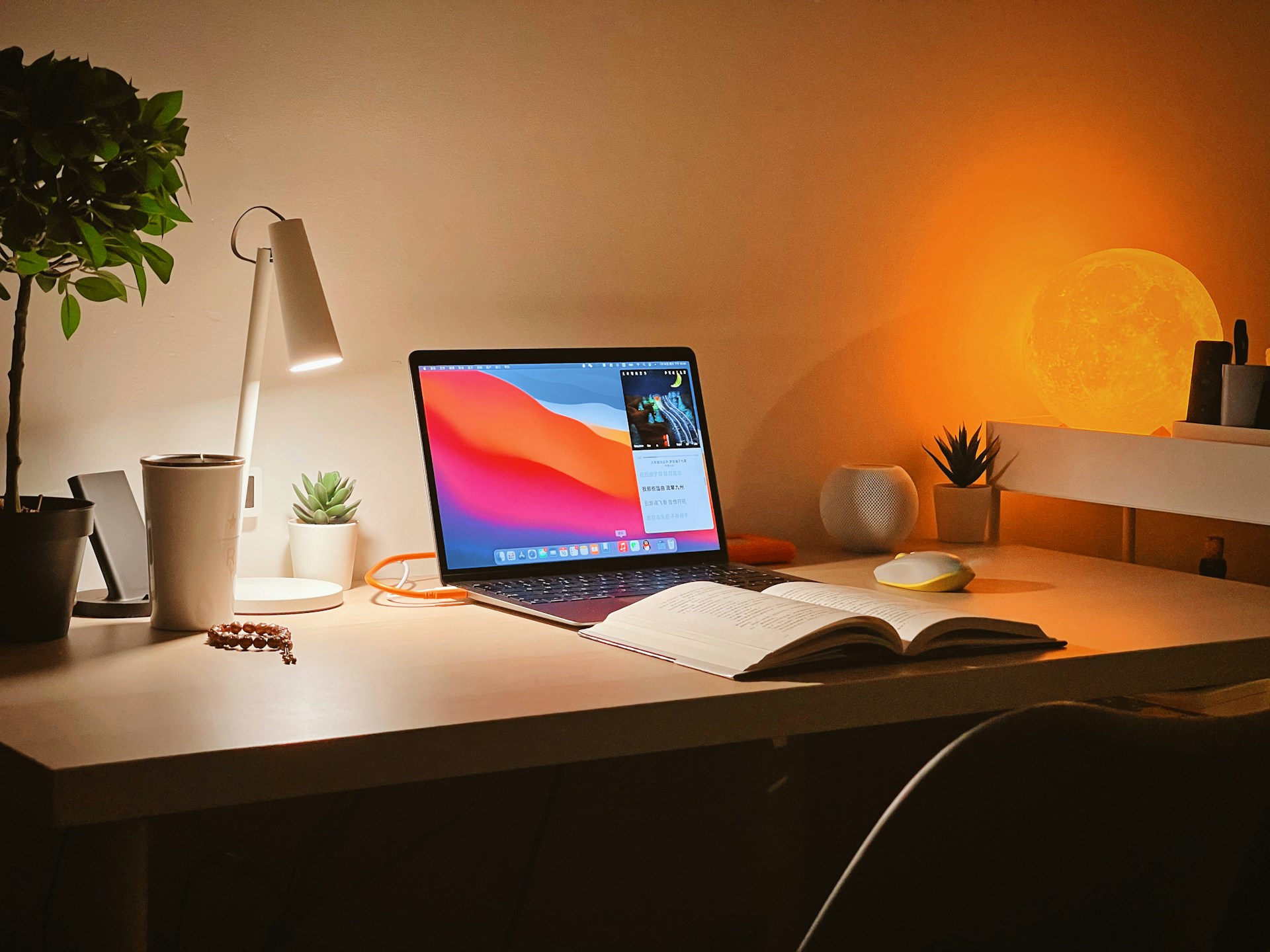 Bedste computer til studie | Foto: Unsplash