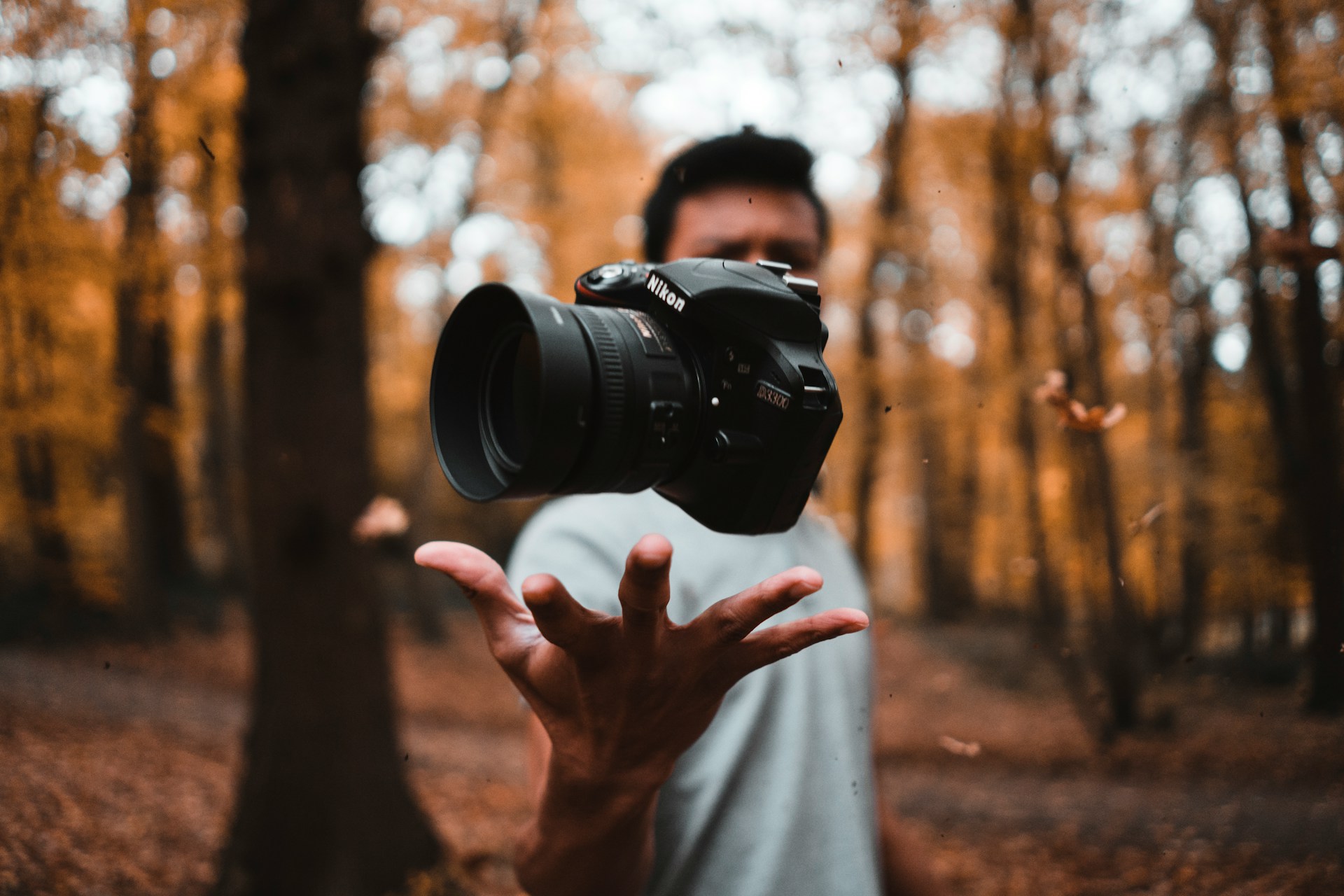 Bedste kamera til naturfotografering (Foto: Unsplash)