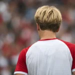 Hvad tjener Frederik Emmery?